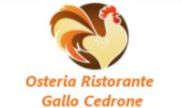 OSTERIA GALLO CEDRONE